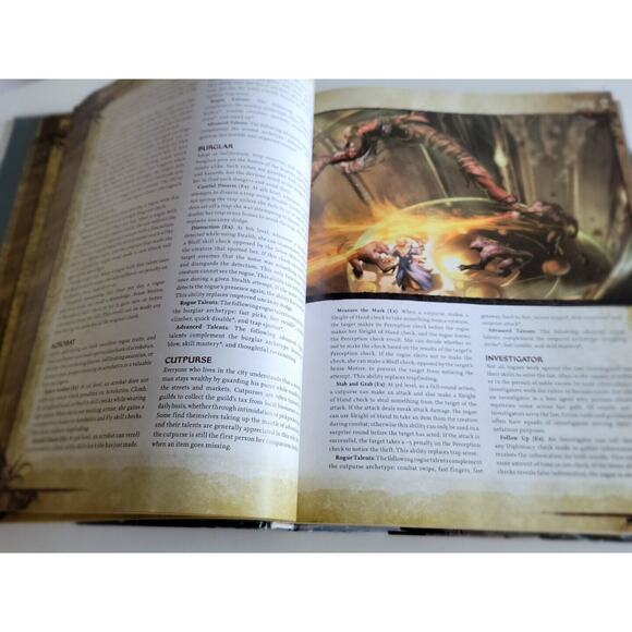 Pathfinder Roleplaying Game: Advanced Player's Guide Paizo 2010 - Picture 4 of 5